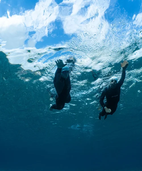 שיעורי שחייה למבוגרים באילת